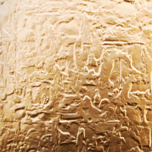 Faux Gold WC-40 Kitchen Backsplash