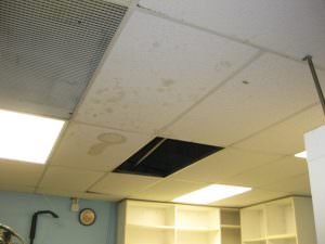 Ceiling Tile Before